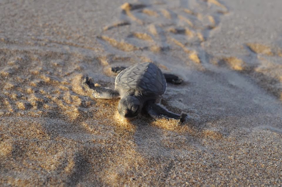 PAKET WISATA UJUNG GENTENG