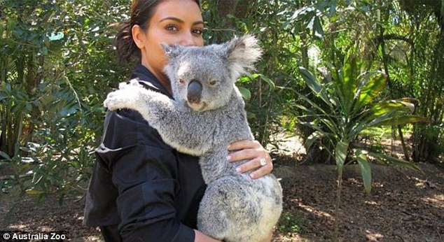 GriyaWisata.com- Pasangan sensasional, Kim Kardashian dan Kanye West berserta sang buah hati, North West nampak senang ketika mengunjungi Australia Zoo.