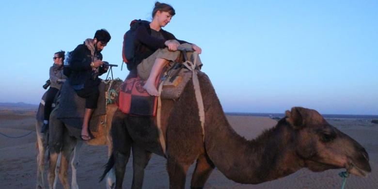 (GriyaWisata.com)�Turis menunggang unta untuk sampai ke tengah sahara di Maroko