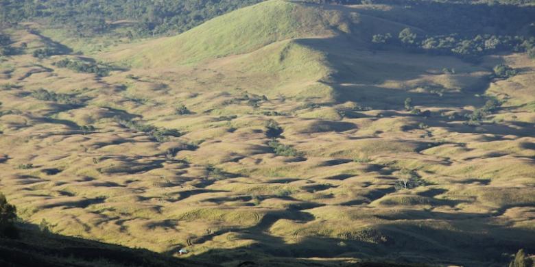 (GriyaWisata.com)�Jajaran perbukitan yang dimulai dari Pos 2 hingga Pos 3 jalur Doro Ncanga Gunung Tambora