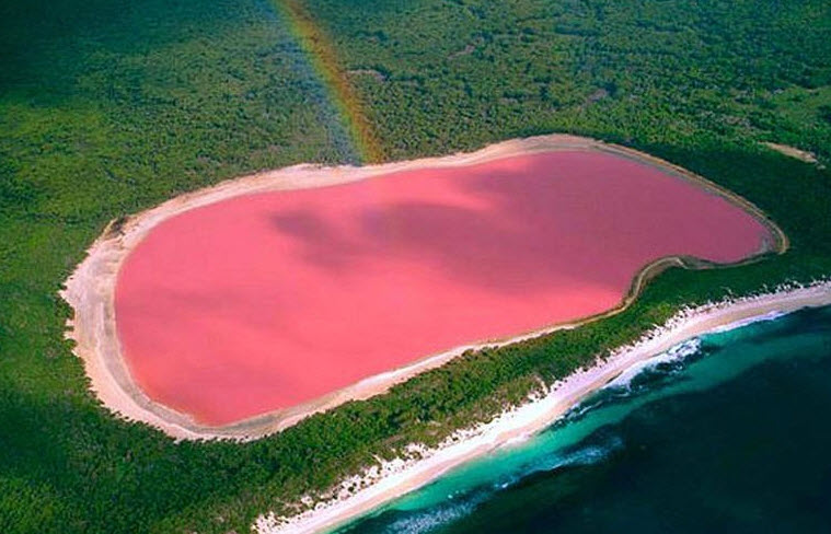 GriyaWisata.com - Danau Hillier adalah sebuah danau berwarna pink di Pulau Tengah, yang ada di kepulauan Recherche, Australia Barat. Cantik ir danau tersebut, memiliki air yang tidak biasa dimiliki danau yang lain. Pasalnya danau ini memberikan warna pink.