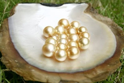 GriyaWisata.com - Sepintas asli tapi palsu; itulah yang diedukasi kepada masyarakat dalam Indonesian Pearl Fertival, di Jakarta, yang dimulai hari ini, yaitu cara membedakan mutiara asli dan palsu.�