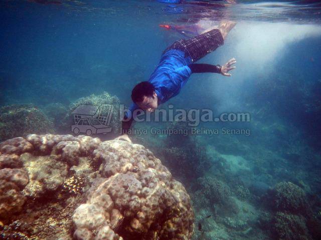 Paket wisata snorkling super puas  - Image