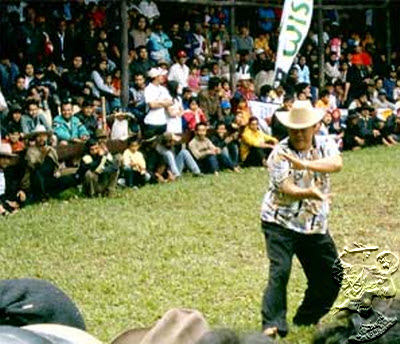 Atraksi_Adu_Domba_Menjadi_Ciri_Khas_Jawa_Barat.2